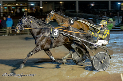 Faust-heste nye hos Michael Lønborg