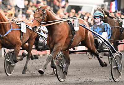 Prix d’Amerique-vinderen Idao de Tillard til start i Belgien