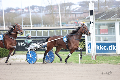 Grumbazz Kini udbudt til salg