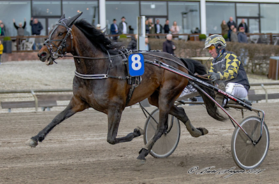 Kazio i træning hos verdens største træner