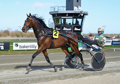 Jeppe Juels Derbyhest skadet