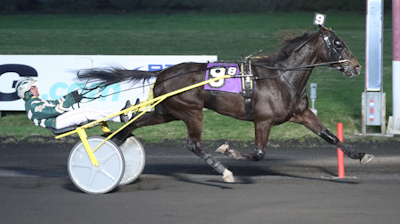 VM-vinderen har tjent 700.000 dollars på to uger!