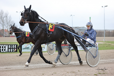 Disney-hest solgt til Finsk hesteejer