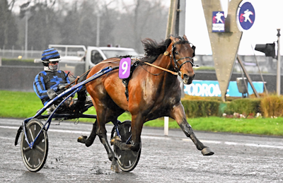 Prix de Bretagne: Idao de Tillard står over