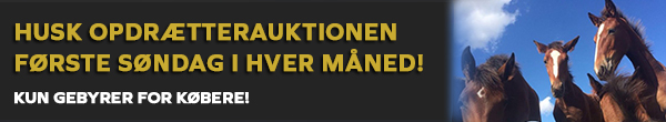 Fire bedækningsretter på auktion