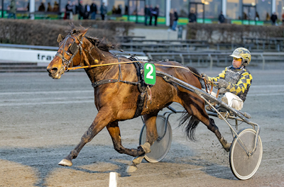 USA-propositioner uden den store effekt