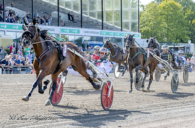 Supertirsdag på Fyn: Tophopper på sprint