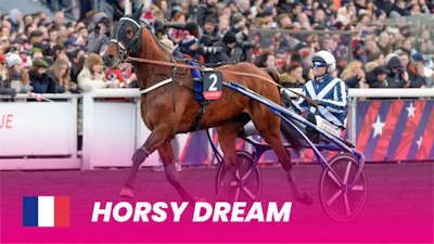 Endnu en fransk tophest til Elitloppet