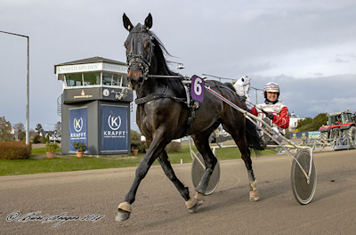 Travinfo.dk med resultater fra Lunden klar