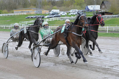 Magnus Ladegaards stærke 3-åringer