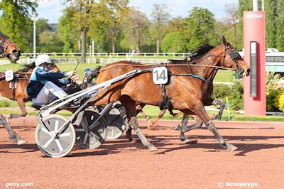 Gonnabe Shadow målfotoslået på Enghien