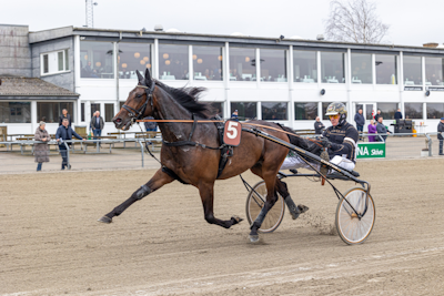 Også Fastodds til Derbyløbene hos Oddset