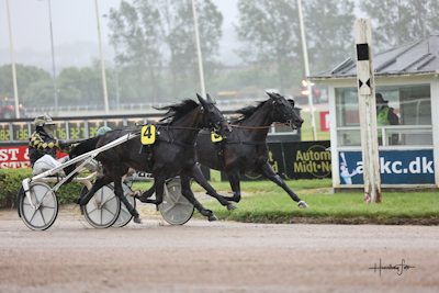 V65: Favoritfald gav 70.078 kroner for 6 rigtige