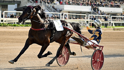Elitloppet: Lotteria-vinderen inviteret