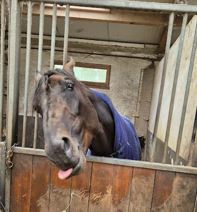 Gasolin  solgt til Malta