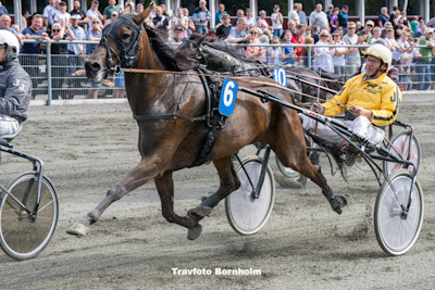 Bornholms ”Gule mand” vandt Hoppemesterskabet