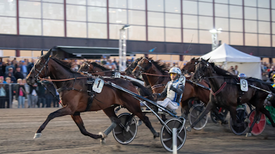 V75-Tingsryd: Bliver Hustle Rain alle tiders hurtigste hest på banen?