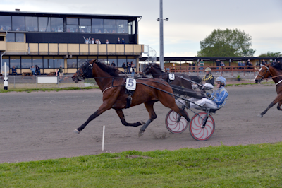 Middagstrav på Falster