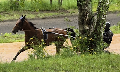 Bondo tror på Hnokki Speed