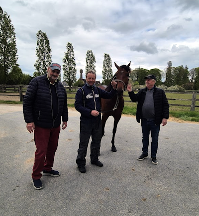 Elitloppsheste tester formen
