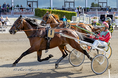Derbyfavoritten Jigger sæsondebuterer i Aarhus