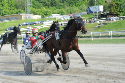 Grand Circle 5 års Championat: Pointberegningen