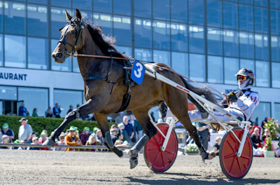 Derbyfavoritten tester formen i Ruder Konge Pokalen