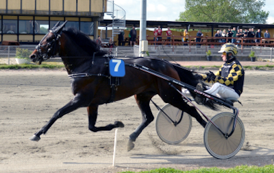 Travauktioner.dk: 105.000 kroner er budt