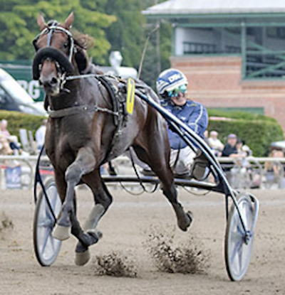 Programsider til fredagsløbene på Solvalla