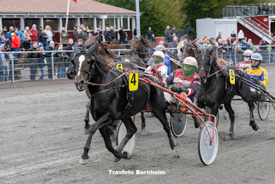Fra V75-løb til Hoppemesterskab