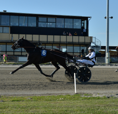 Borups Atlas, I Can Win Gardenia eller Handsome Henry WA