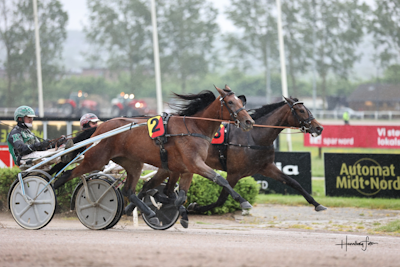 Forrygende 4-års hopper i rutineløb