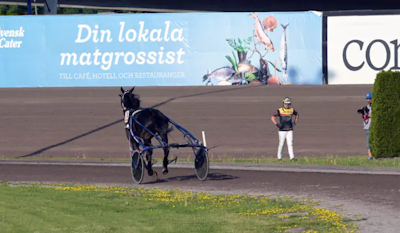Hustle Rains kusk er klar!