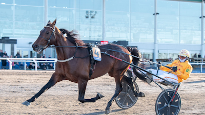 Elitloppet: Bengurion Jet inviteret