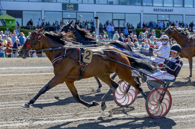 Ester Degli Dei mod Stosprintern på Halmstad