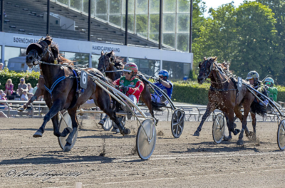 Glad Nock til Magnus M. Nielsen