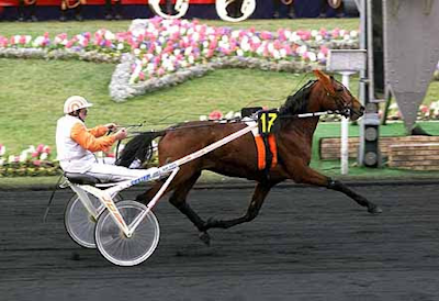 Prix d’Amerique-vinderen General du Pommeau er død