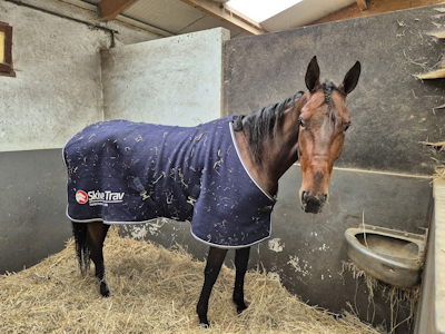 Gonnabe Shadow til start efter næsten tre måneders pause
