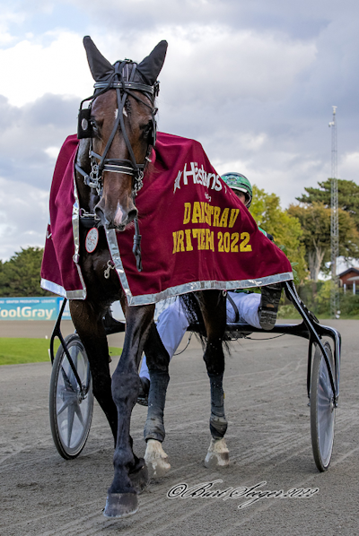 USA: Howlingatthemoon nummer tre