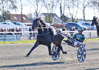 Hollywood Stone debuterer i Frankrig
