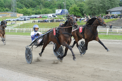 Ibiza Garbo døde efter 6. løb på Jägersro