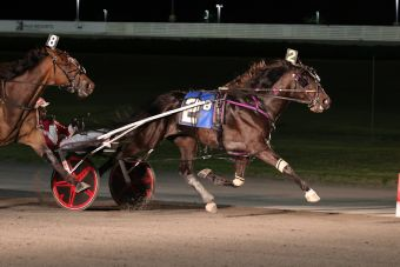 Fra Dexter Cup til Yonkers Trot