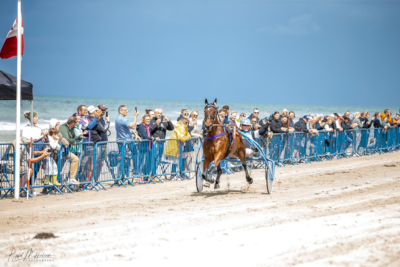 Trav ved Hav – atter en stor succes