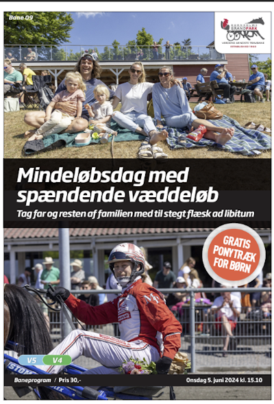 Bornholm mindes sine kæmper