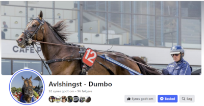 Avlshingst på Facebook