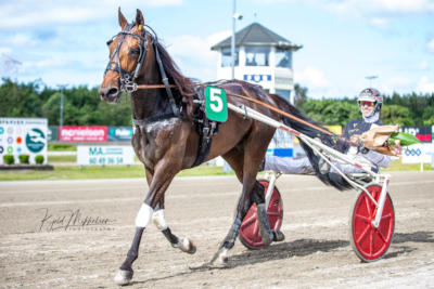 Karat CN til Jörgen Westholm
