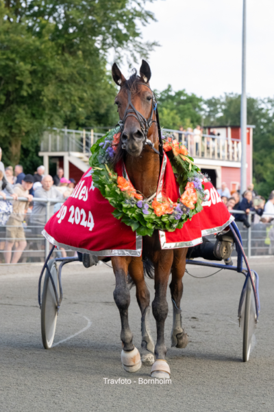 V65-Bornholm: Årets største løb
