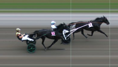 Don Fanucci Zet  imponerede i St Michels race.