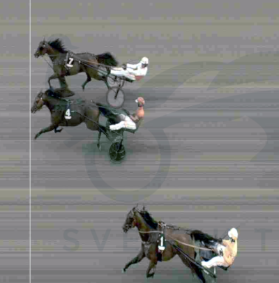 Italienske 3-åringer i særklasse