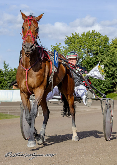 Fin aften for Anders F. Jensen